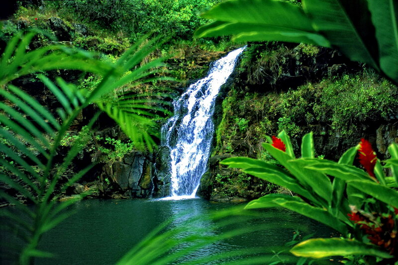 Waterfall in Jungle — Green, Serene, Afternoon, Photograph, Plants, Pool