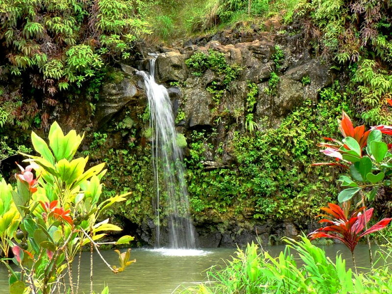Waterfall in Jungle — Green, Serene, Afternoon, Photograph, Plants, Rocks