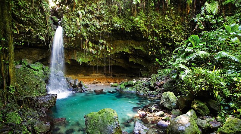Waterfall in Jungle — Green, Serene, Afternoon, Photograph, Pool, Rocks, Plants