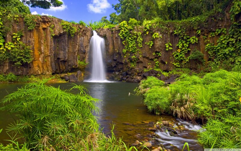 Waterfall in Jungle — Green, Serene, Afternoon, Photograph, River, Cliff, Plants
