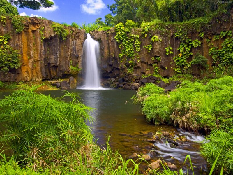 Waterfall in Jungle — Green, Serene, Afternoon, Photograph, River, Cliff
