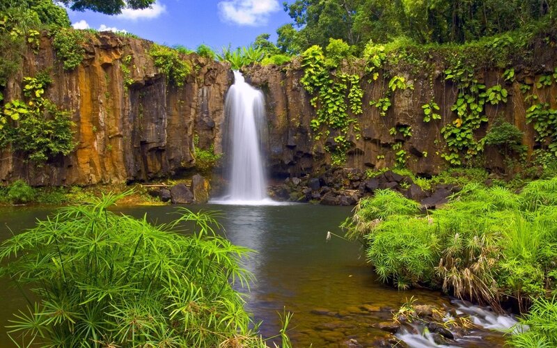 Waterfall in Jungle — Green, Serene, Afternoon, Photograph, River, Cliff, Trees