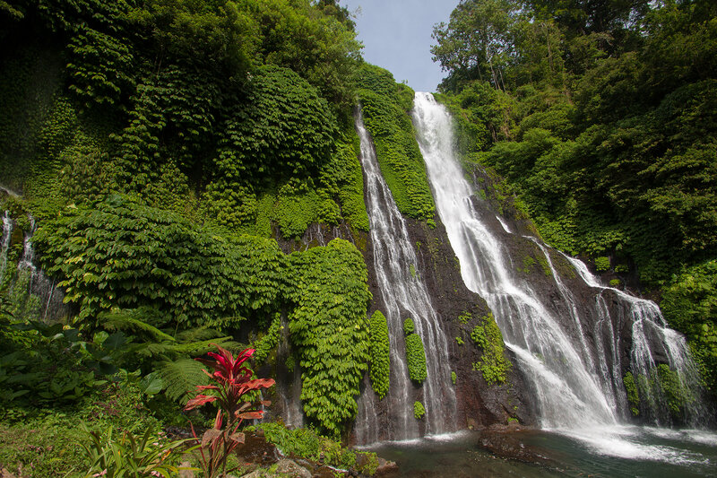 Waterfall in Jungle — Green, Serene, Afternoon, Photograph, River, Plants, Trees