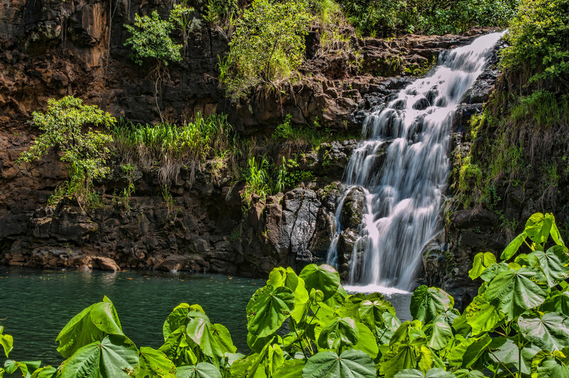 Waterfall in Jungle — Green, Serene, Afternoon, Photograph, River, Rocks, Plants