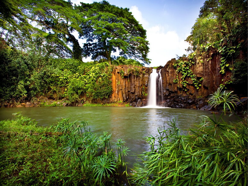 Waterfall in Jungle — Green, Serene, Afternoon, Photograph, River, Trees, Cliff