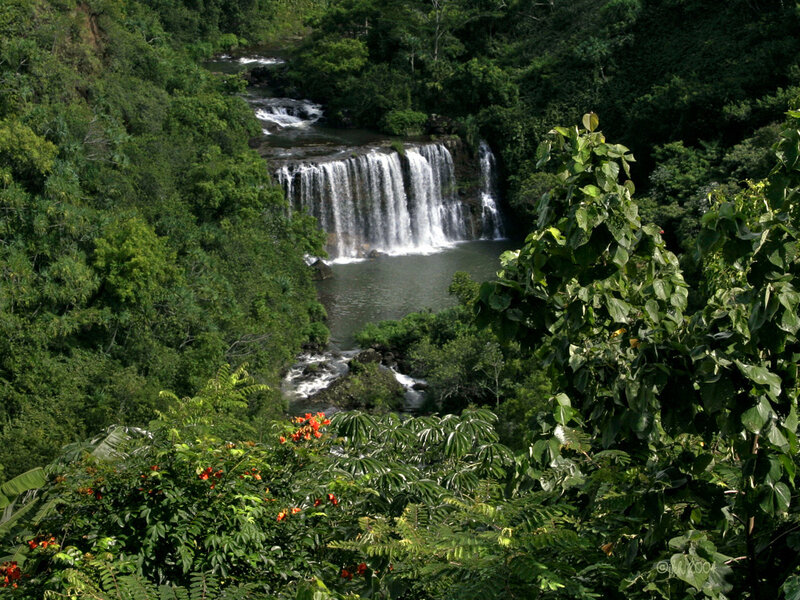Waterfall in Jungle — Green, Serene, Afternoon, Photograph, River, Trees, Flowers