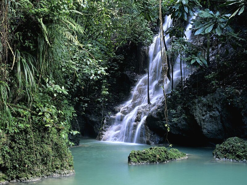 Waterfall in Jungle — Green, Serene, Afternoon, Photograph, River, Trees, Rocks, Blue