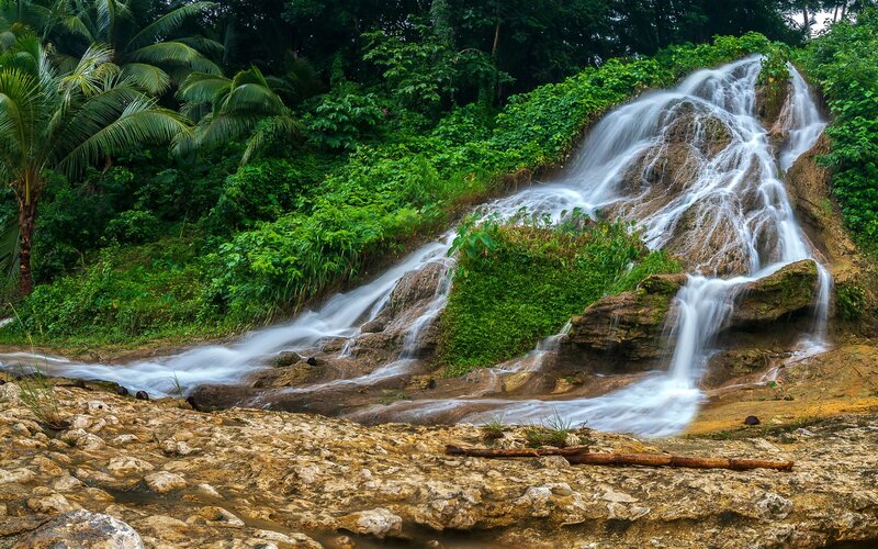 Waterfall in Jungle — Green, Serene, Afternoon, Photograph, Rocks, Palm Trees
