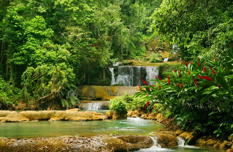 Waterfall in Jungle — Green, Serene, Afternoon, Photograph, Trees, Flowers