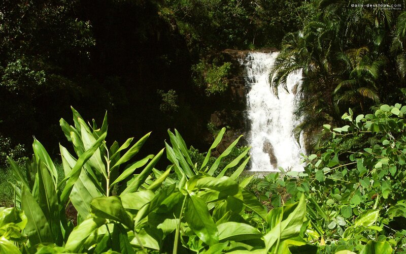 Waterfall in Jungle — Green, Serene, Afternoon, Photograph, Trees, Plants