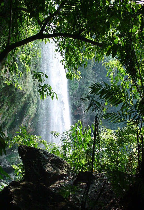 Waterfall in Jungle — Green, Serene, Afternoon, Photograph, Trees, Rocks, Foliage