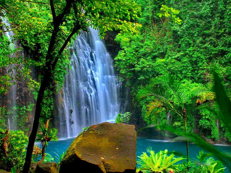 Waterfall in Jungle — Green, Serene, Afternoon, Photograph, Trees, Rocks