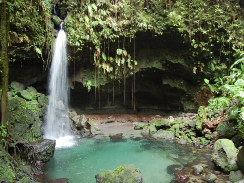Waterfall in Jungle — Green, Serene, Photograph, Pool