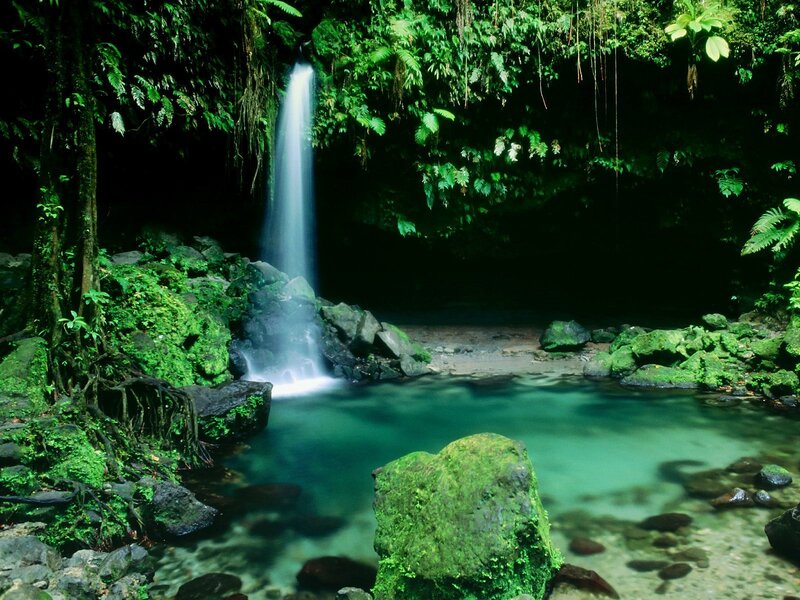 Waterfall in Jungle — Green, Serene, Photograph, River, Rocks, Moss
