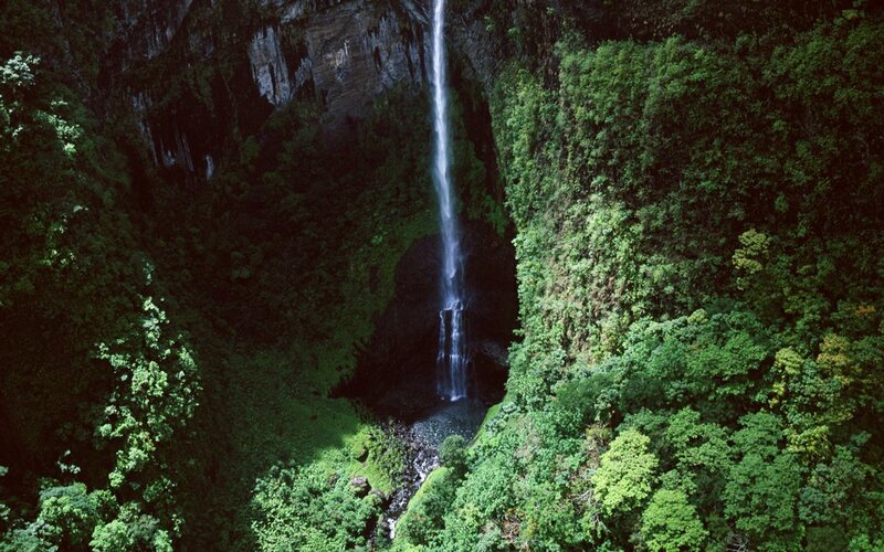 Waterfall in Jungle — Green, Serene, Photograph