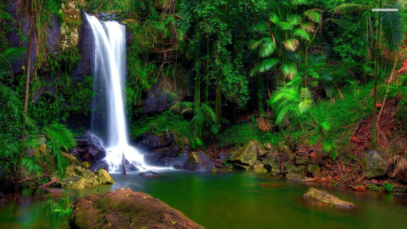 Waterfall in Jungle — Green, Serene, Photograph, Trees, Rocks