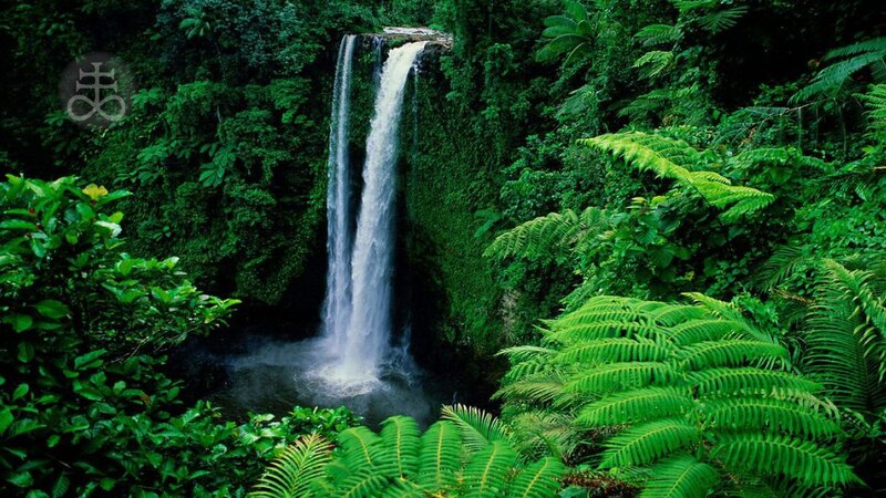 Waterfall in Jungle — Green, Serene, Photograph, Trees