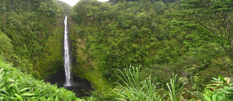 Waterfall in Jungle — Green, Serene