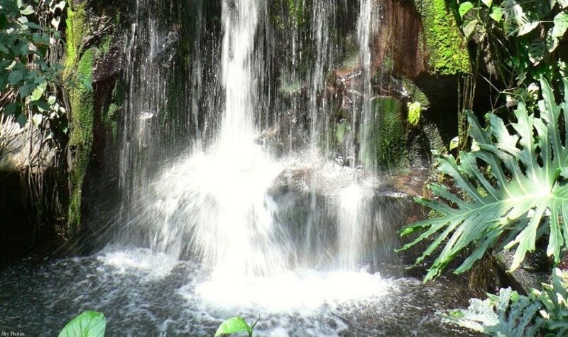 Waterfall in Jungle — Green