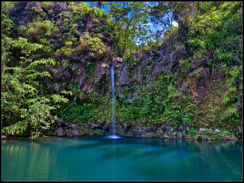 Waterfall in Jungle Pool