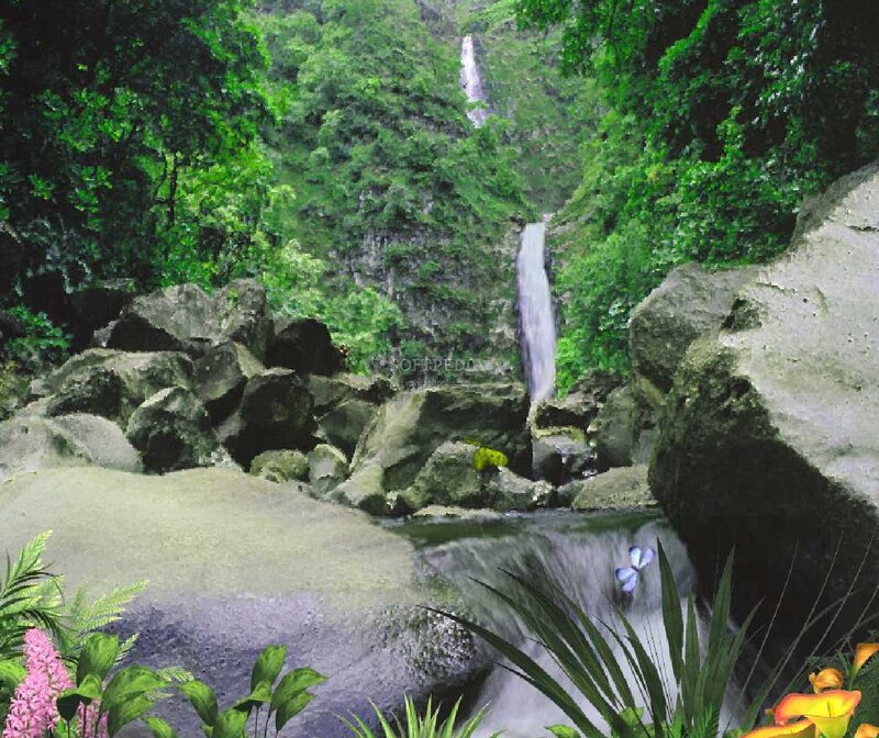 Waterfall in Jungle