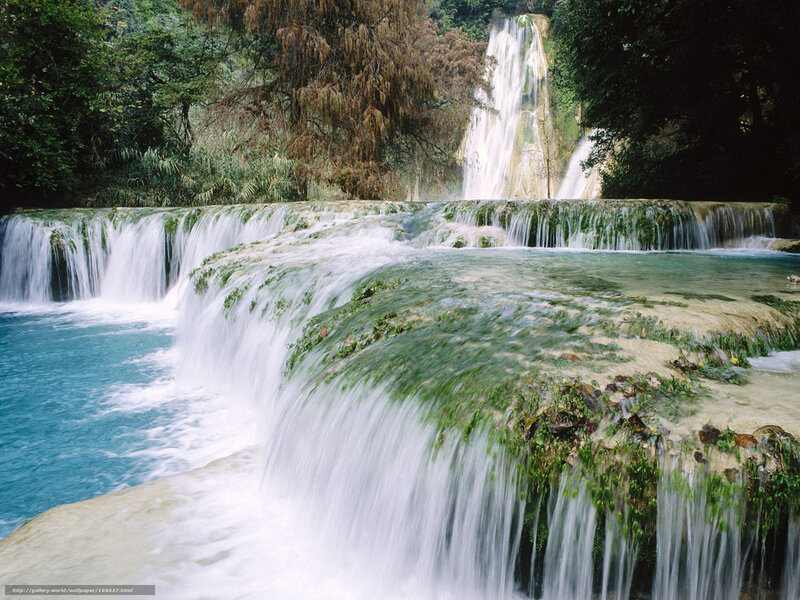 Waterfall in lush forest