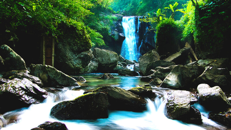 Waterfall in lush forest