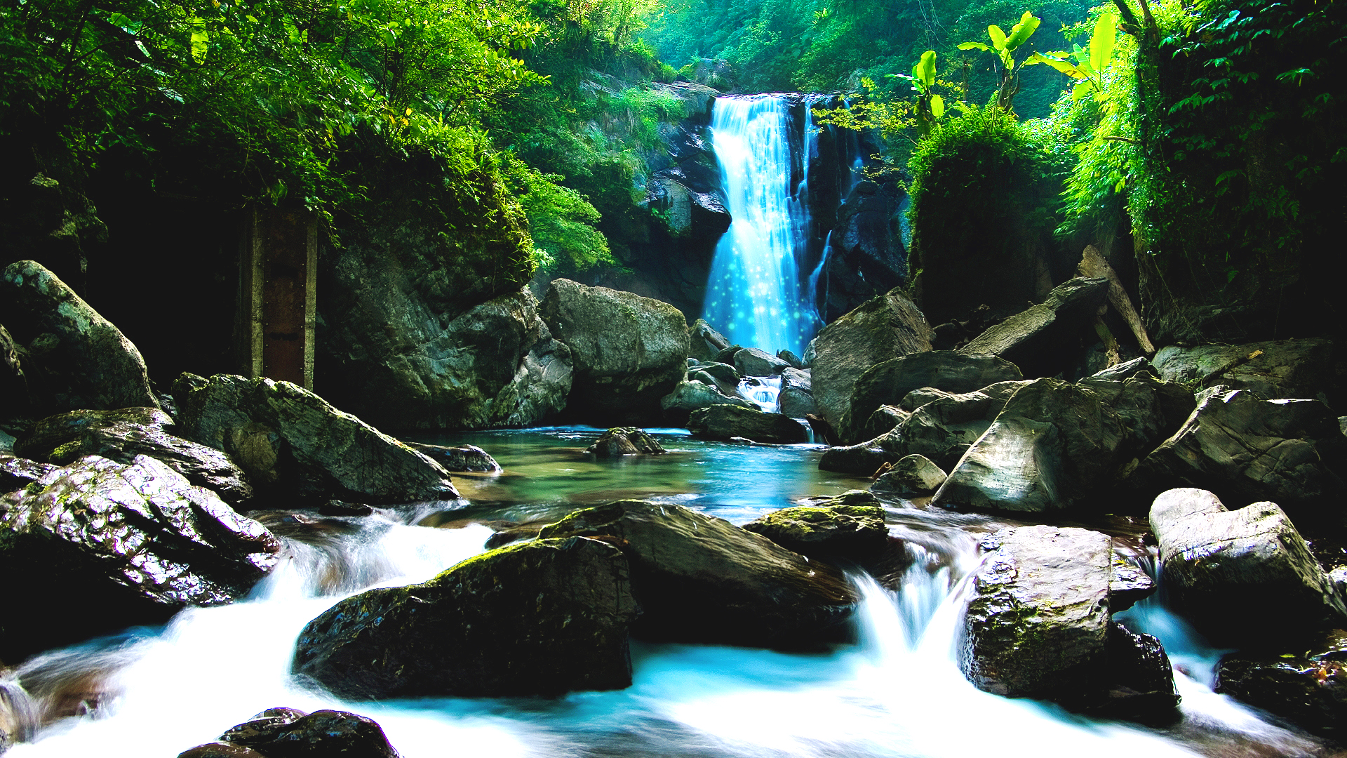Waterfall in lush forest