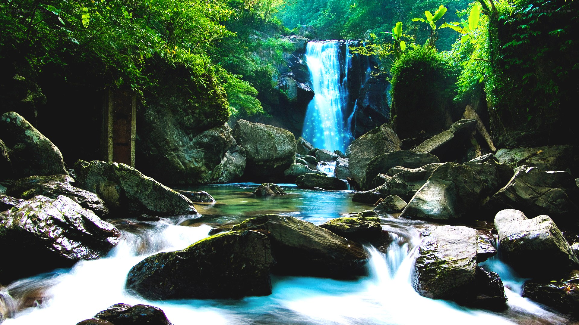 Waterfall in lush forest