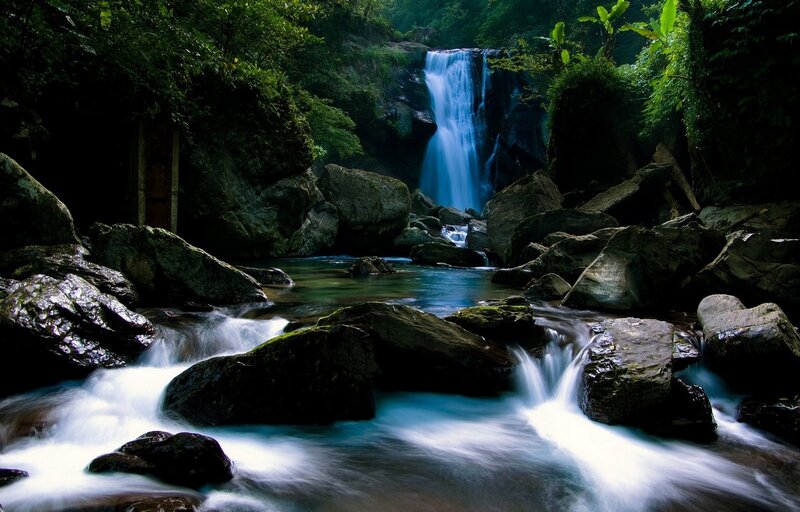 Waterfall in lush forest