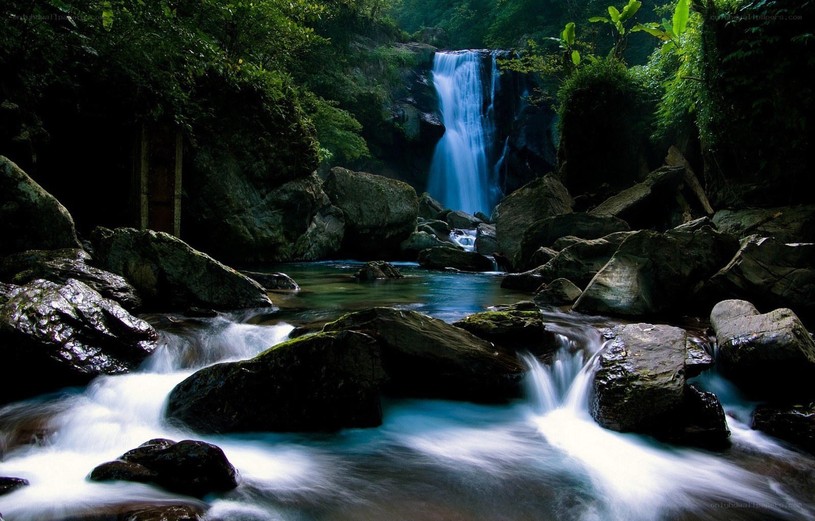 Waterfall in lush forest