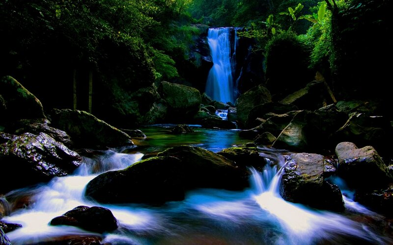Waterfall in lush forest