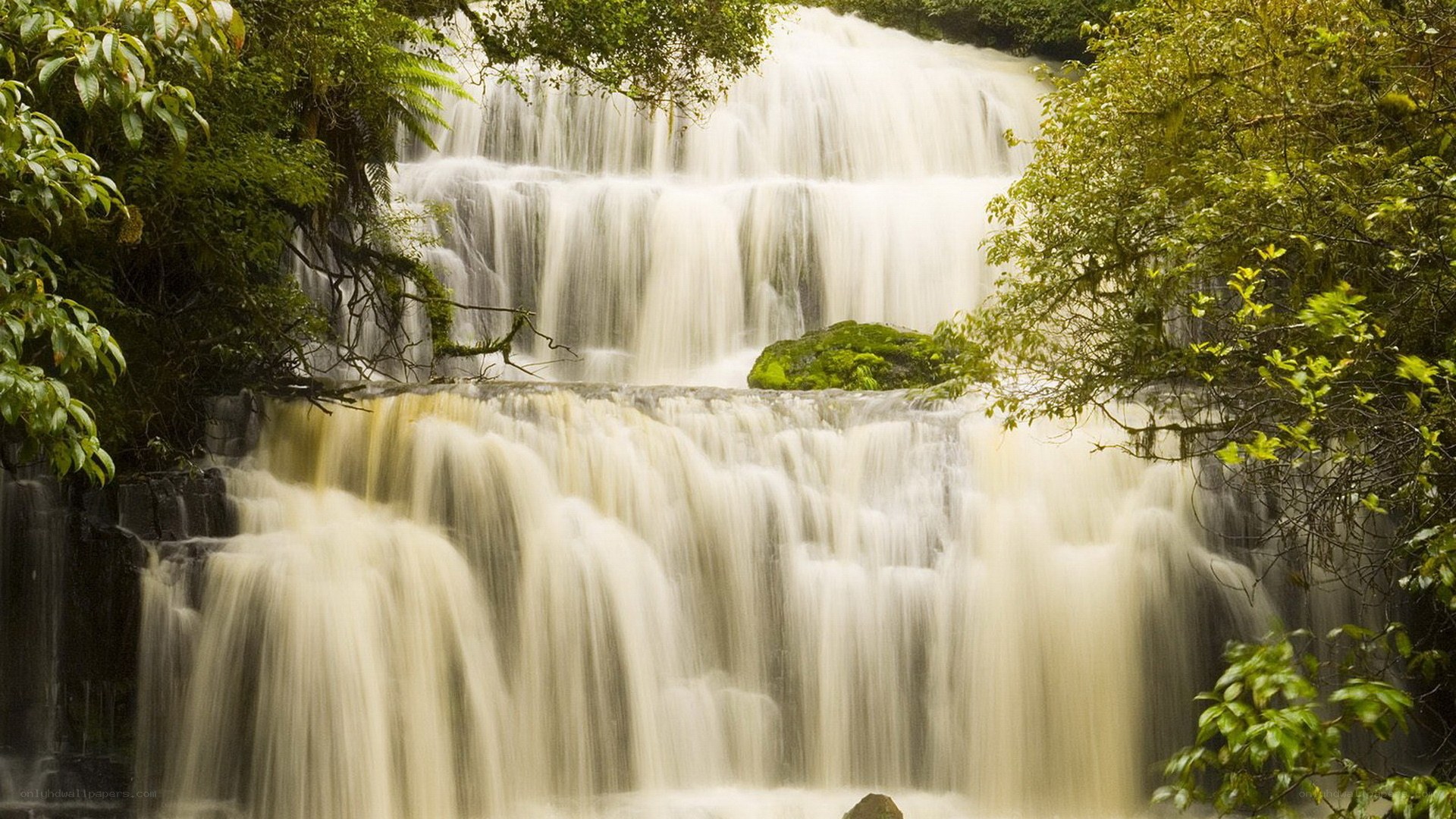 Waterfall in lush forest