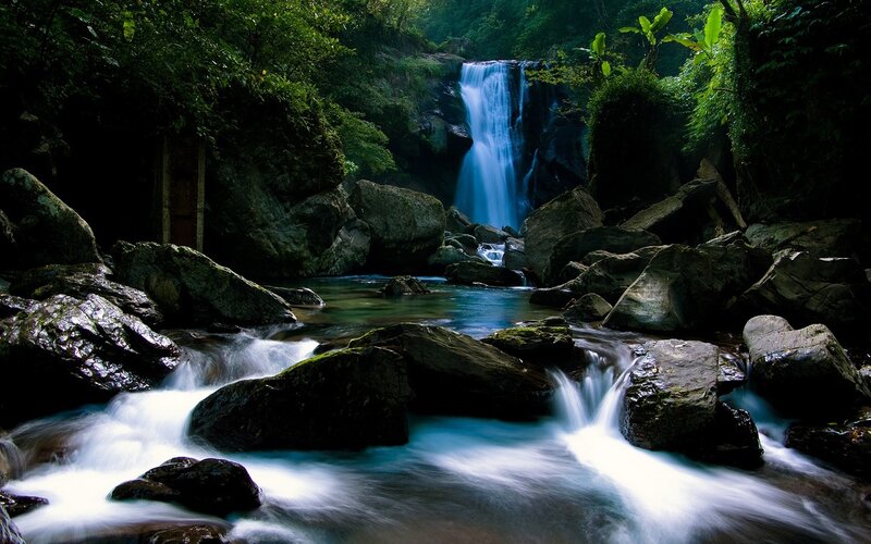 Waterfall in lush forest