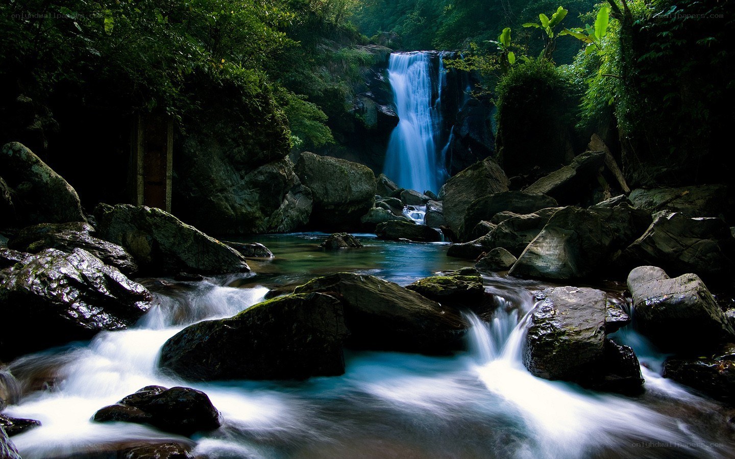 Waterfall in lush forest