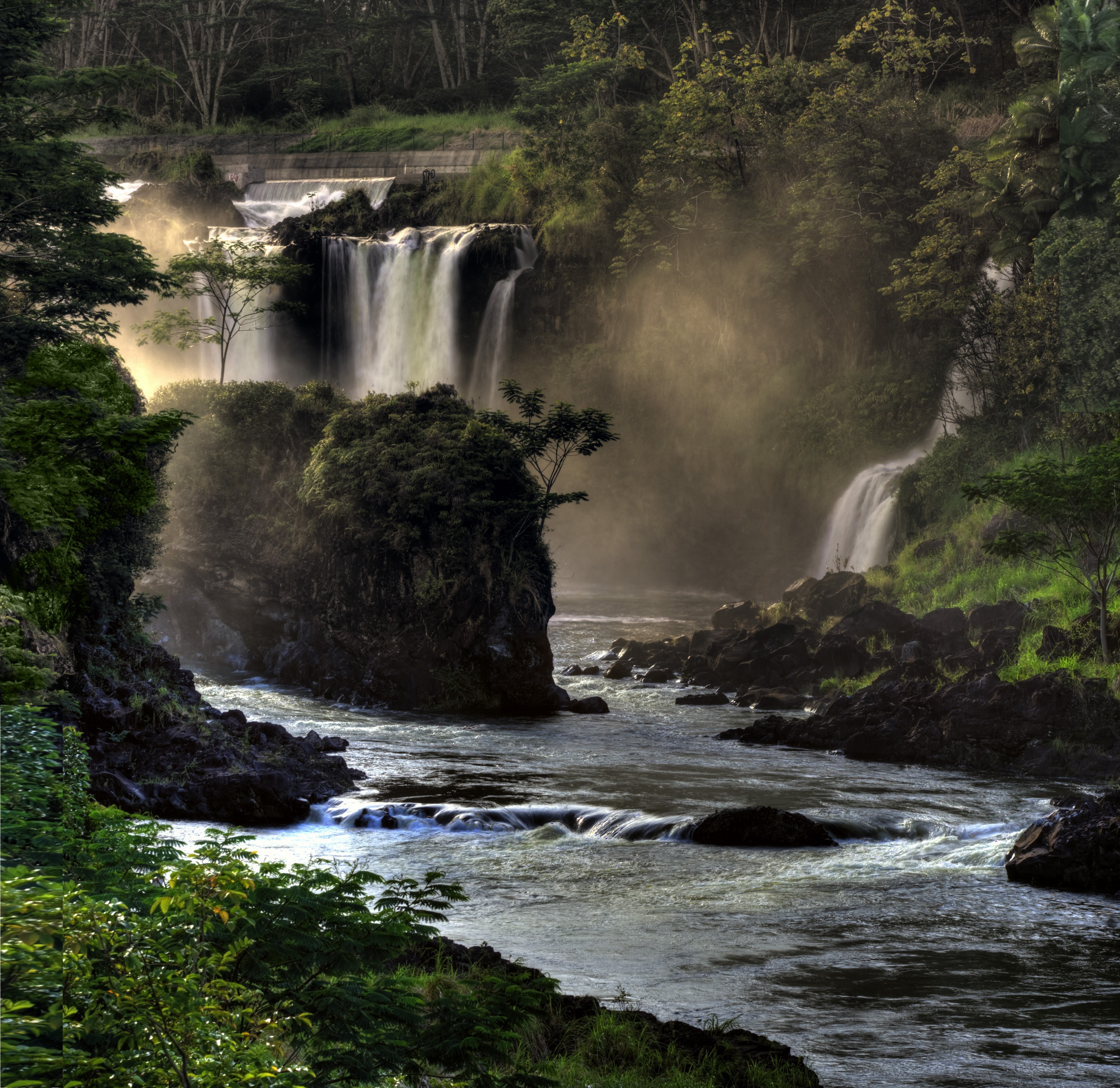 Waterfall in lush forest