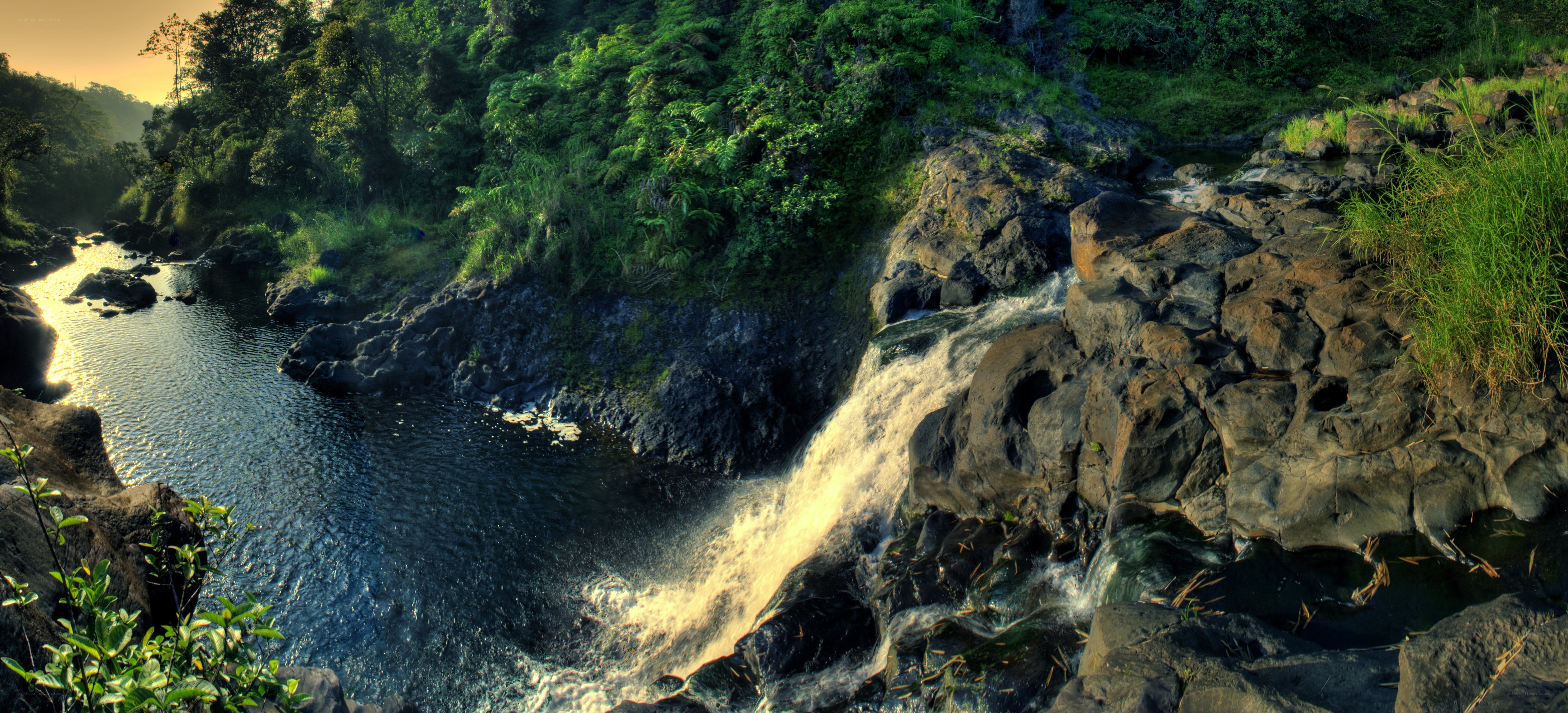 Waterfall in lush forest