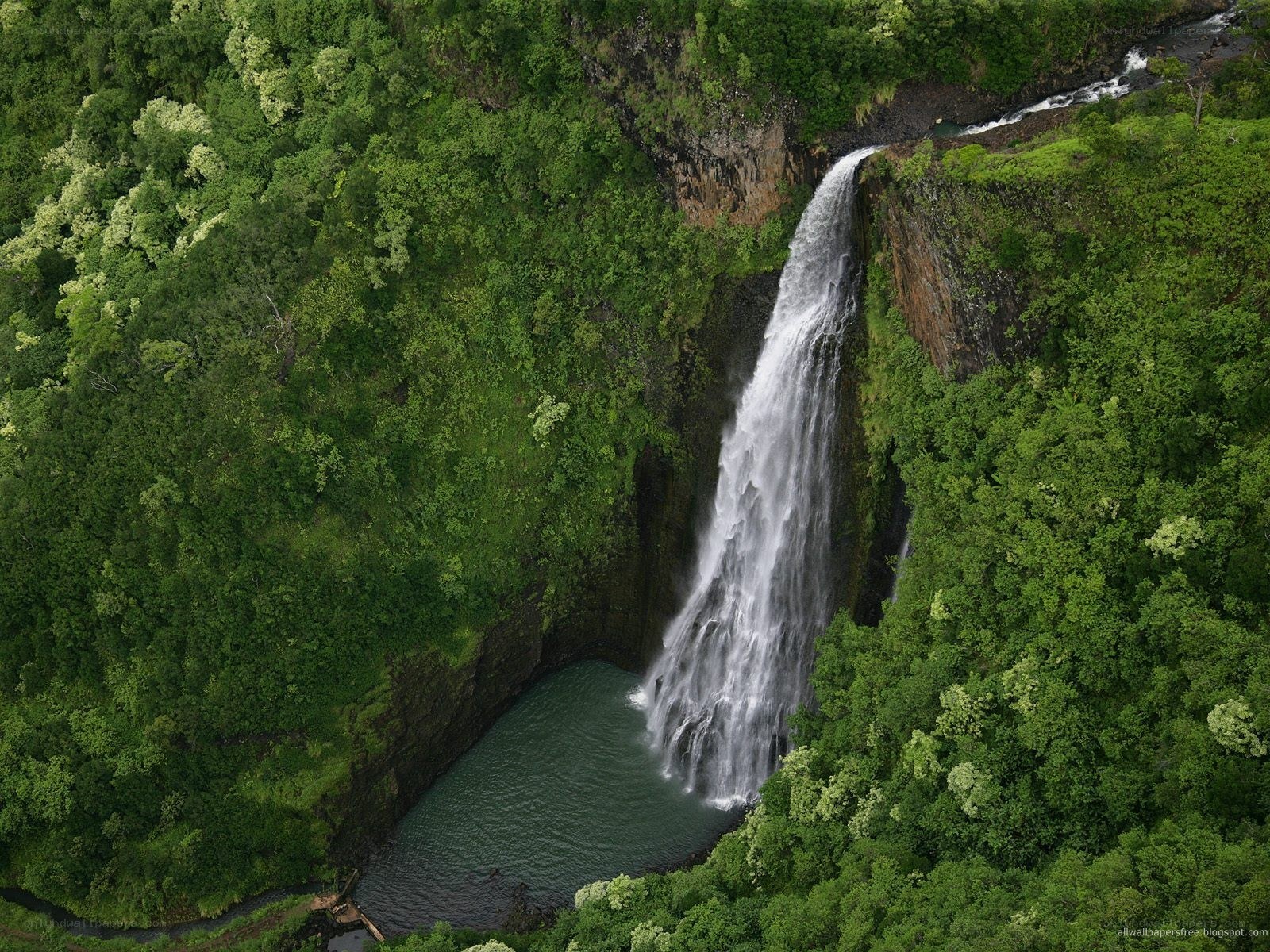 Waterfall in lush forest