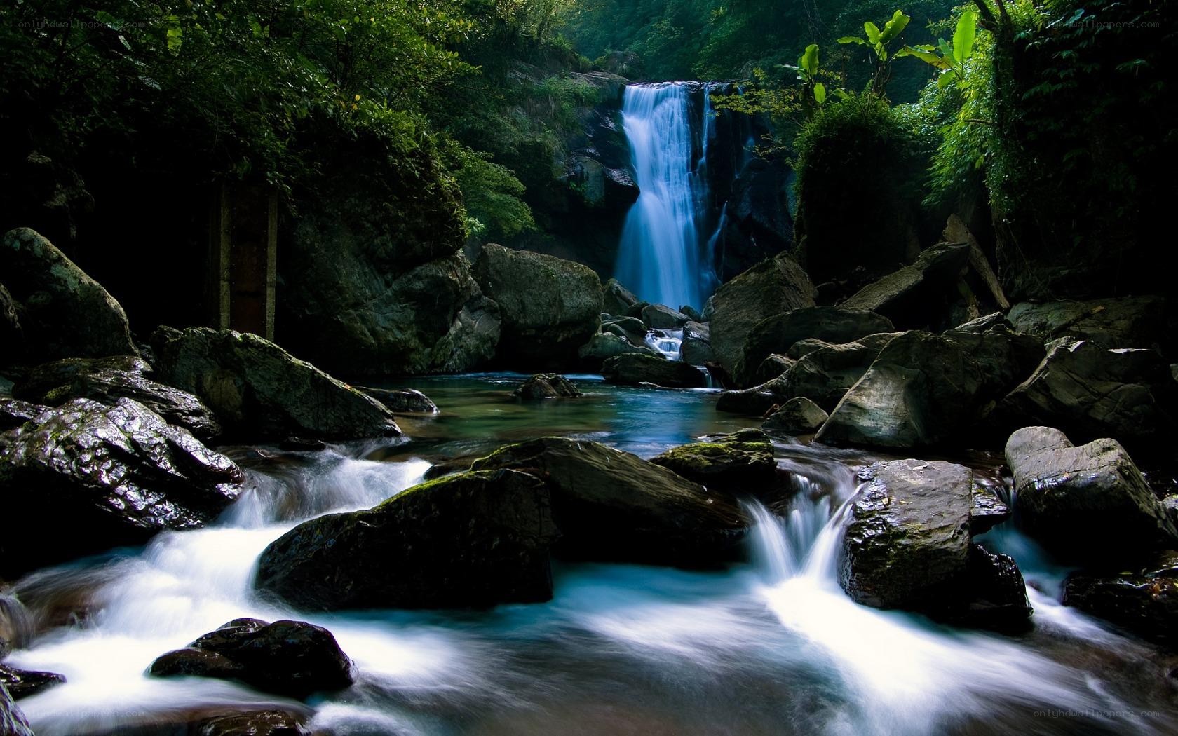 Waterfall in lush forest