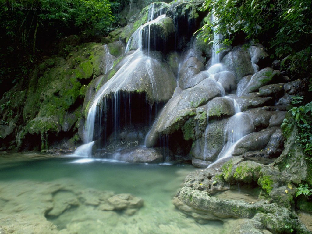 Waterfall in lush forest