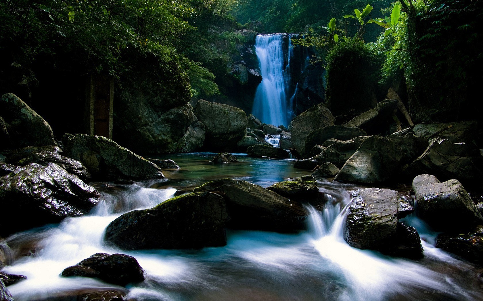 Waterfall in lush forest