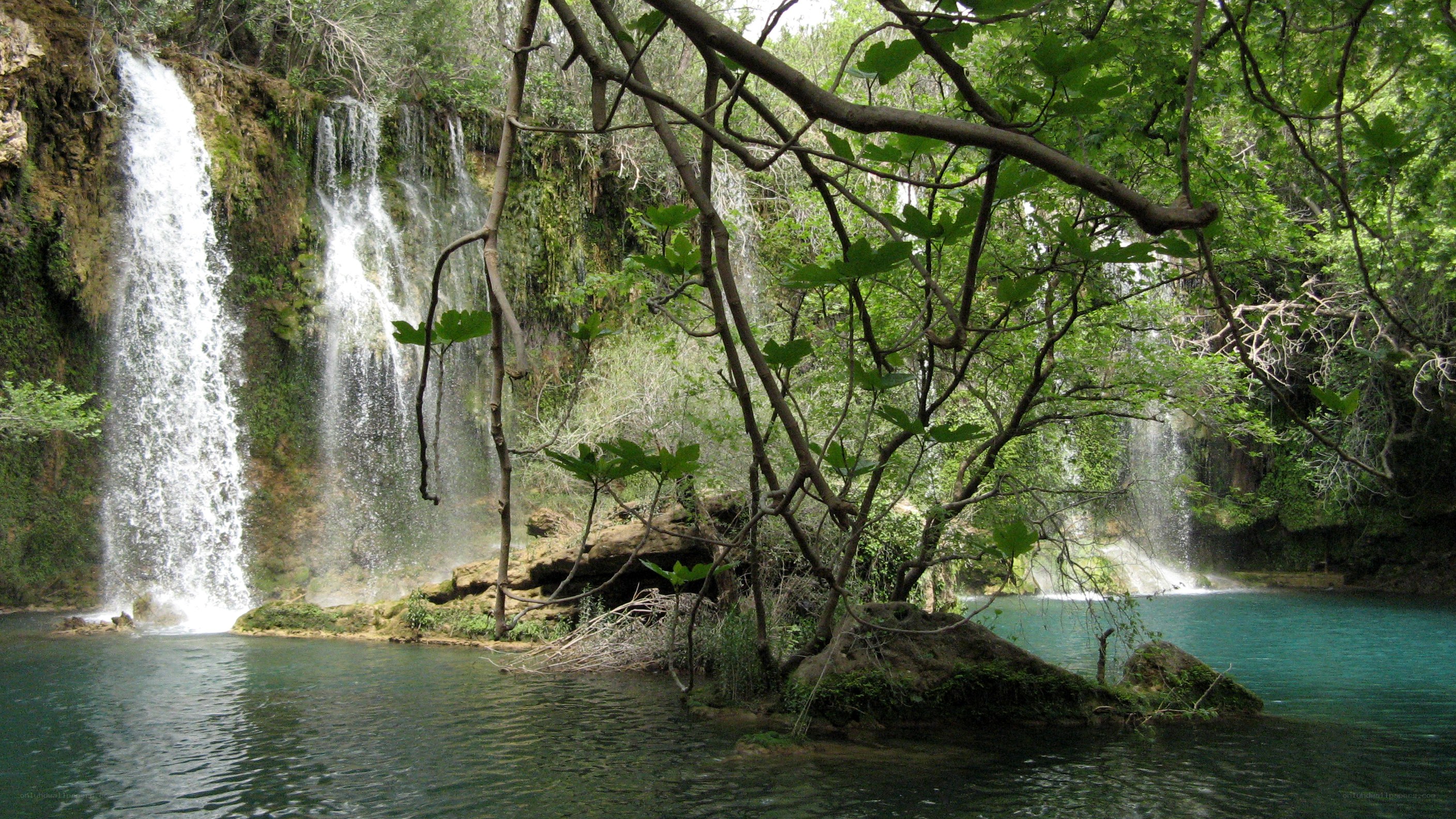 Waterfall in lush forest