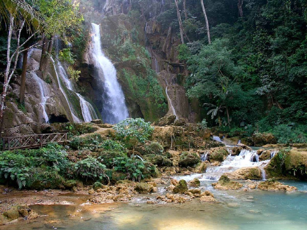 Waterfall in lush forest