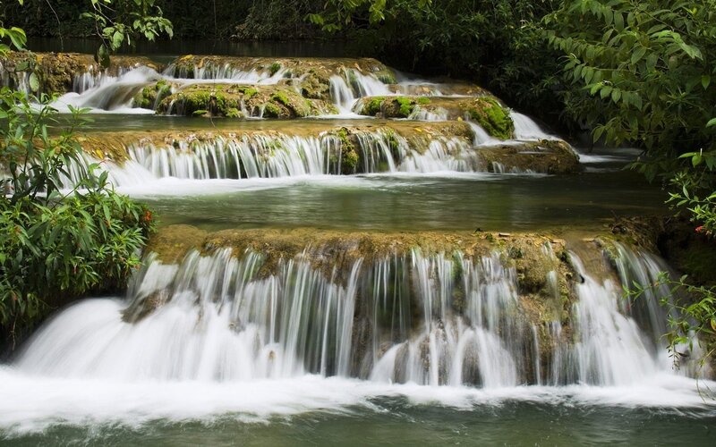 Waterfall in lush forest
