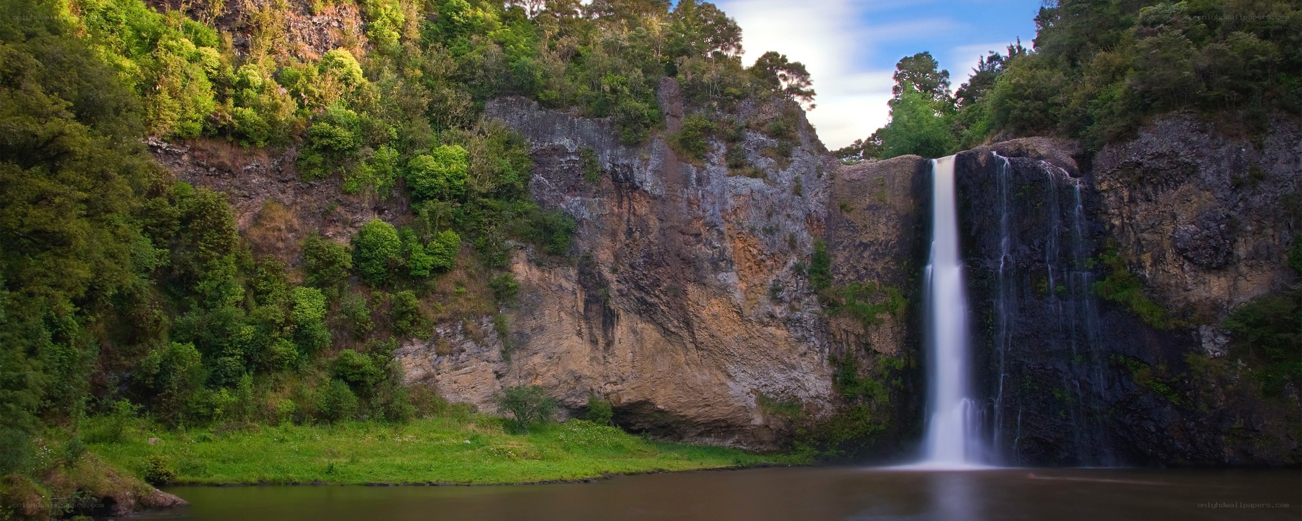 Waterfall in lush forest