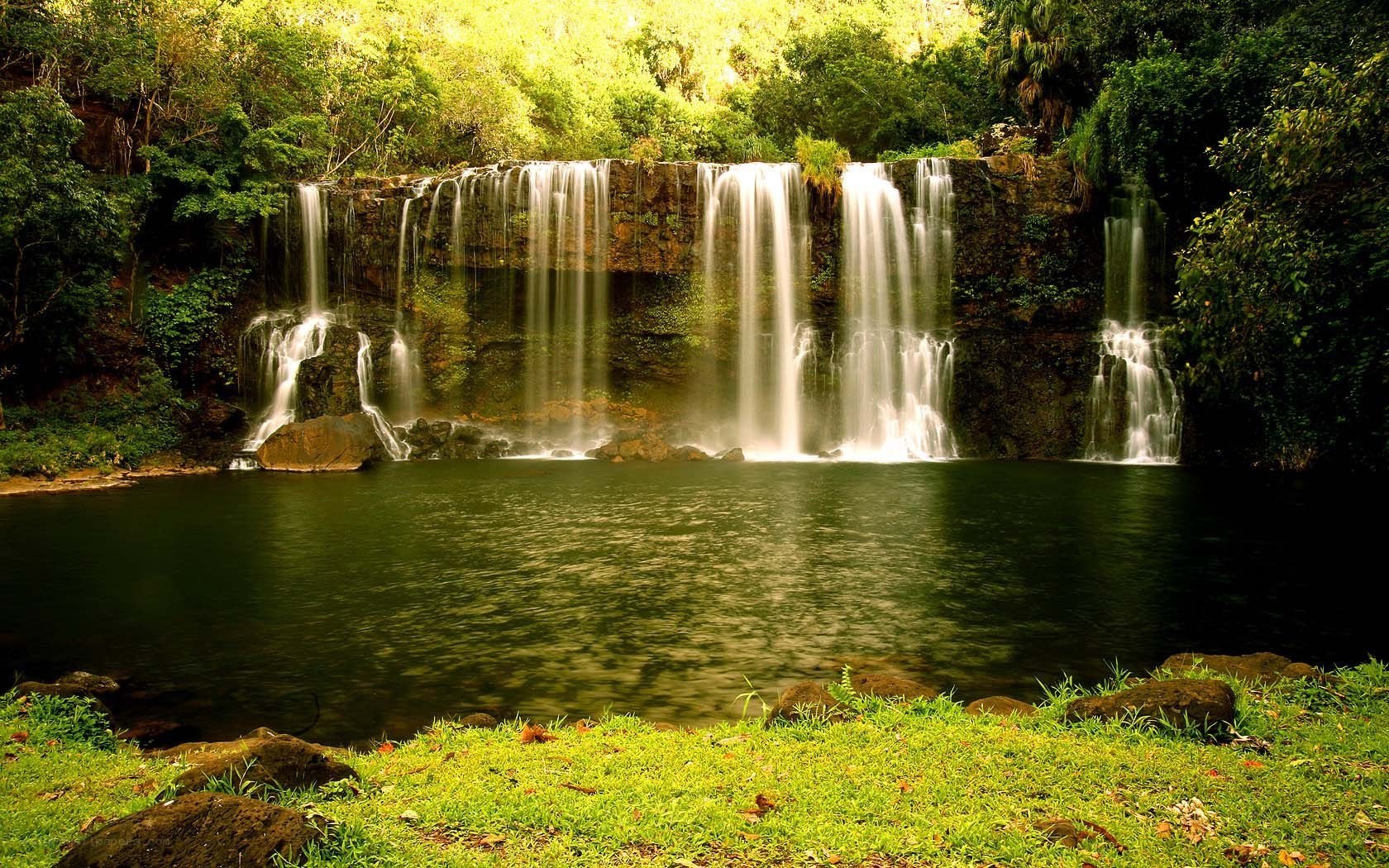 Waterfall in lush forest
