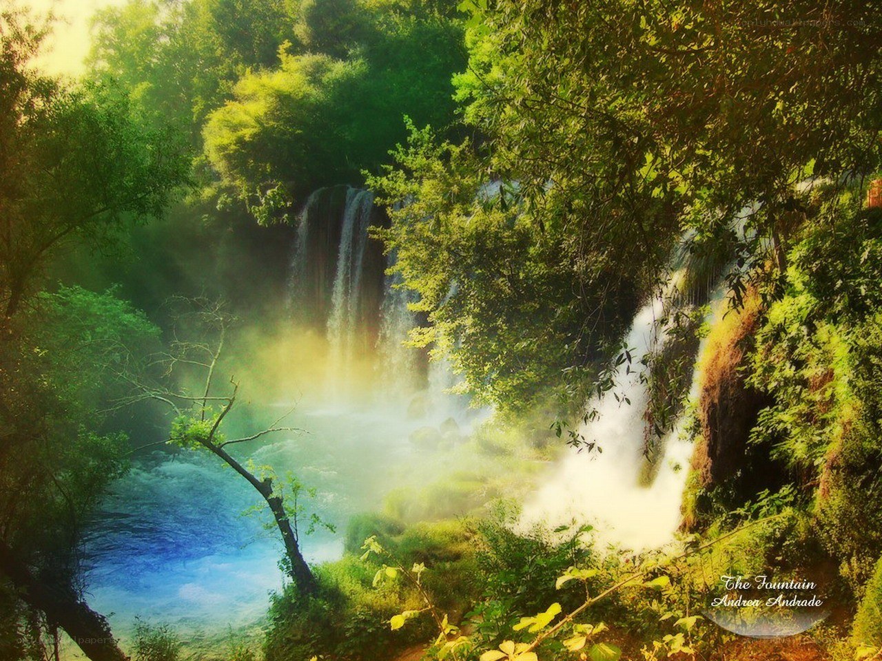 Waterfall in lush forest
