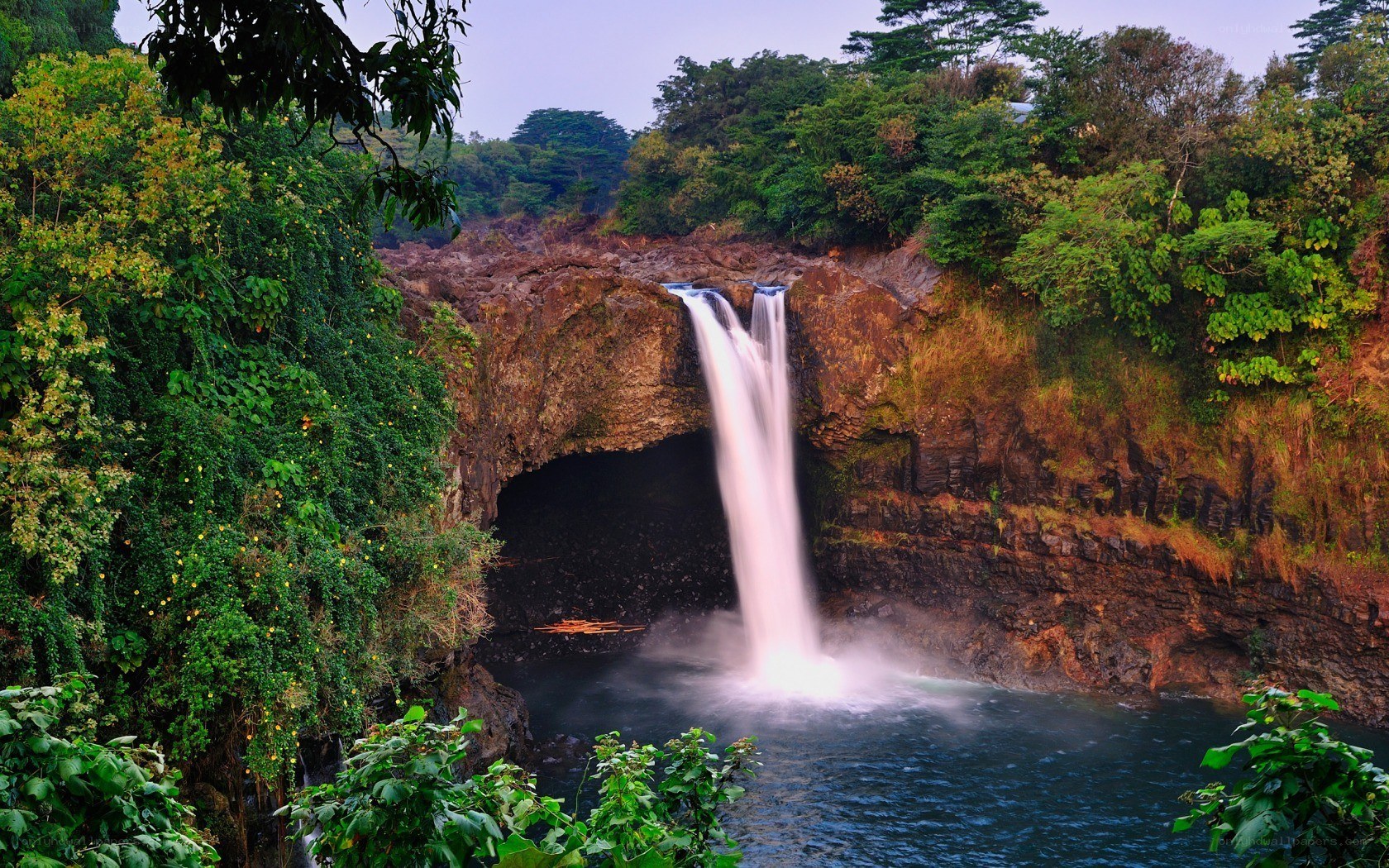 Waterfall in lush forest