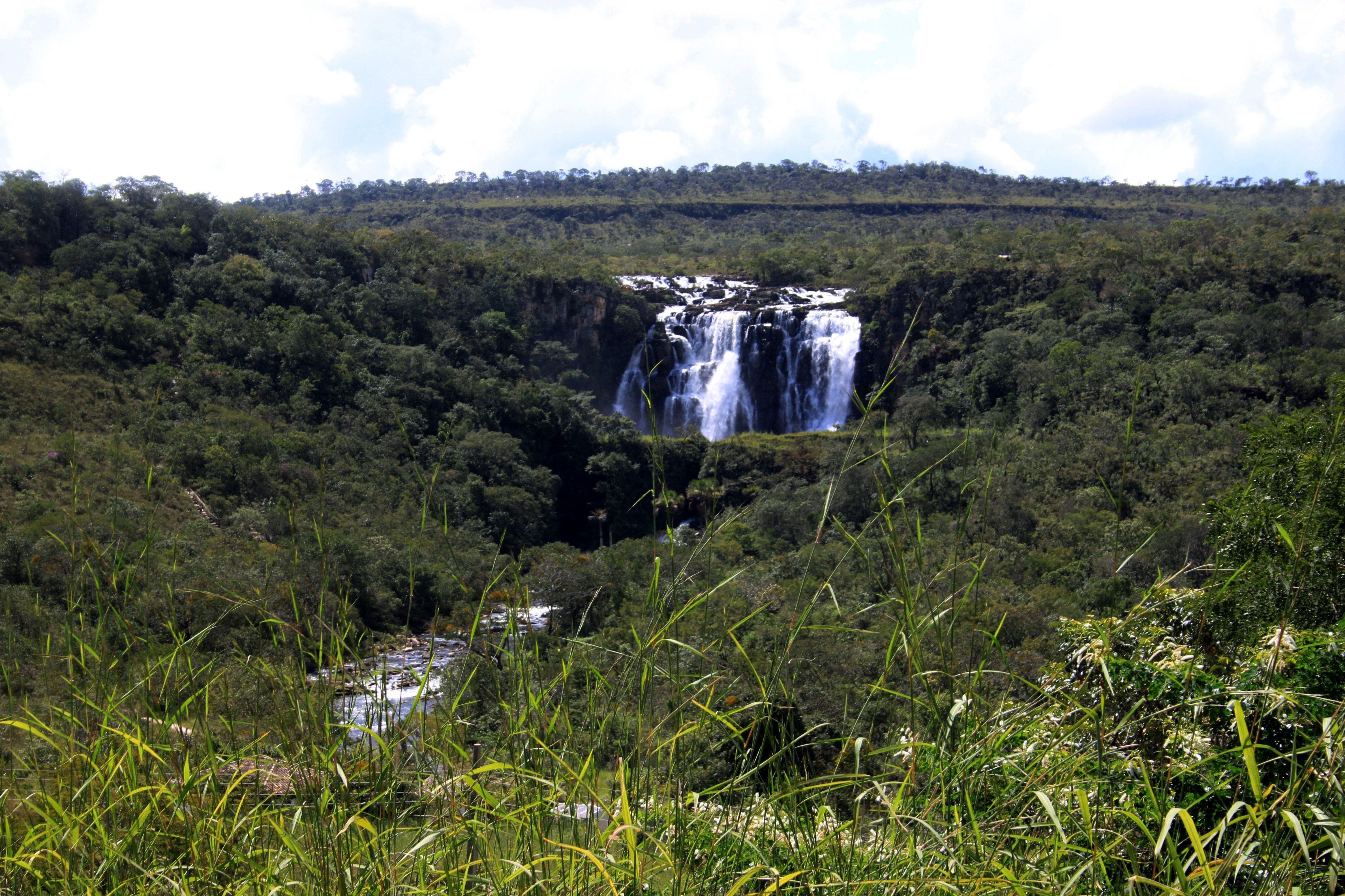 Waterfall in lush forest