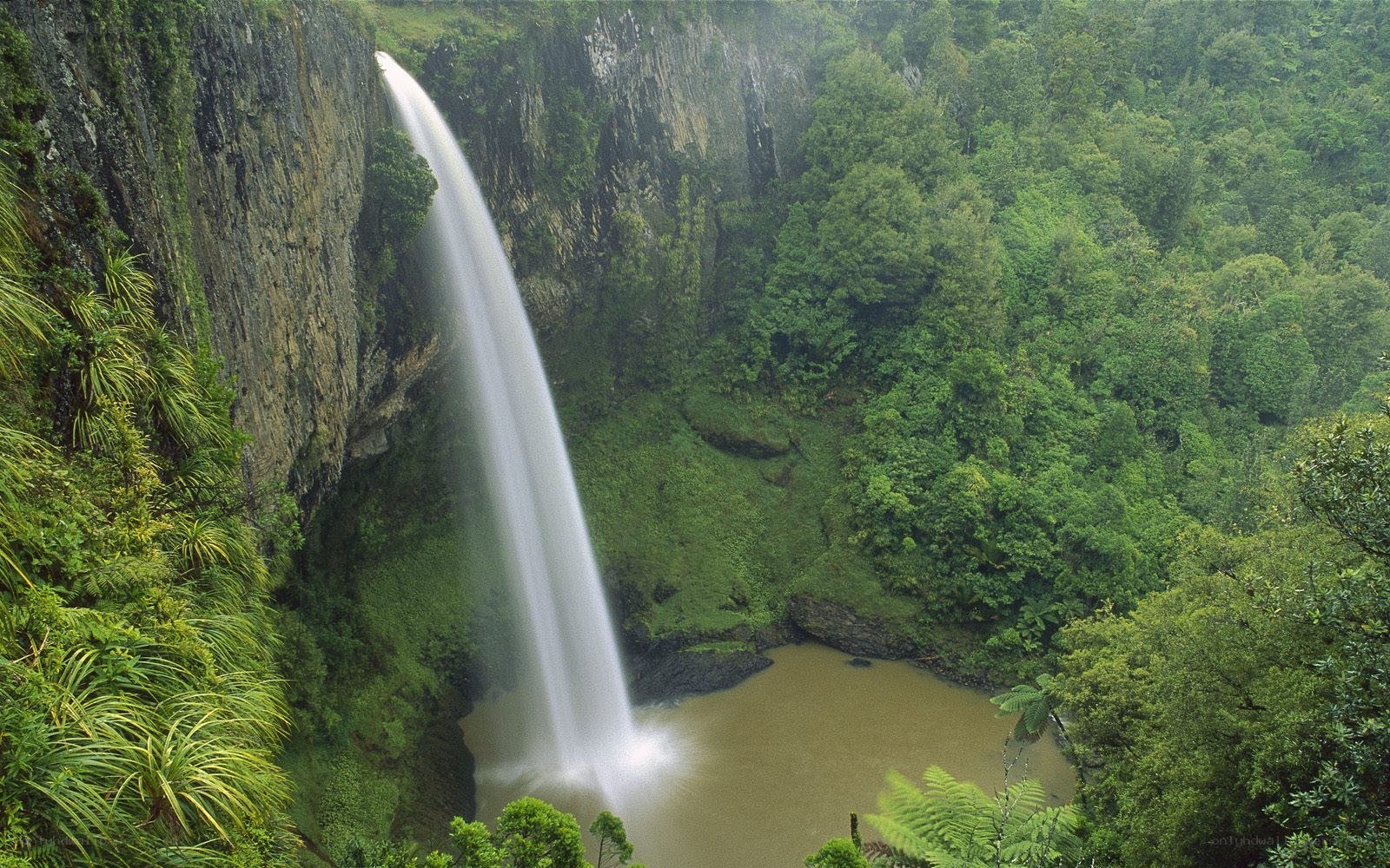 Waterfall in lush forest